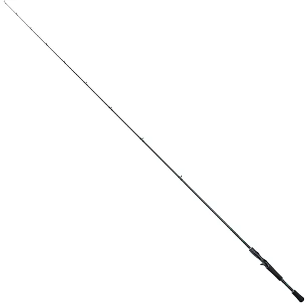 Shimano Curado Casting