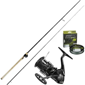 Westin Custom Series St Gold