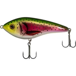 Westim Swim Predator Cup 2025 Custom