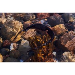 Savage Gear Savage2 Polarized Sunglasses Floating