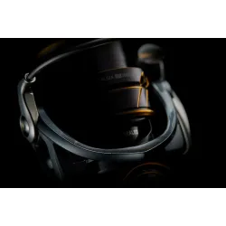 Daiwa 22 Caldia LT