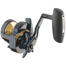 Daiwa 24 Saltiga
