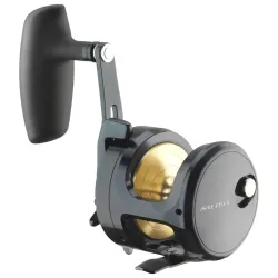 Daiwa 24 Saltiga