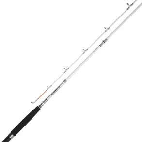 Daiwa Accudepth Trolling