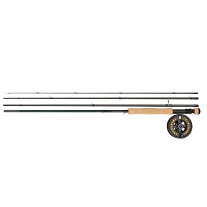Daiwa D Pike Fly Combo