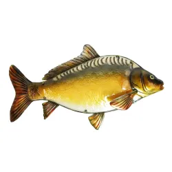 Eurocatch Glas Spejlkarpe 80cm 