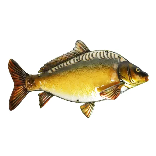 Eurocatch Glas Spejlkarpe 80cm 