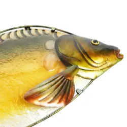 Eurocatch Glas Spejlkarpe 80cm 