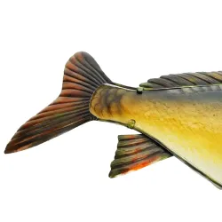 Eurocatch Glas Spejlkarpe 80cm 