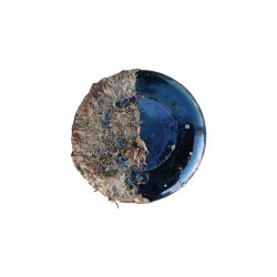 Propspeed Foulfree Kit 15ml