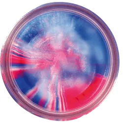 Berkley Powerbait Glitter