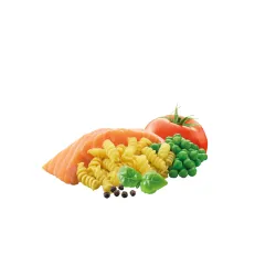 Adventure Food Pasta Salmone