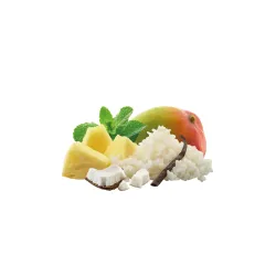 Adventure Food Tropical Rice Dessert