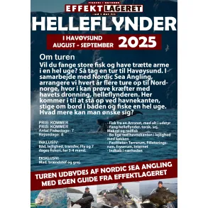 Helleflynder i Havysund 2025