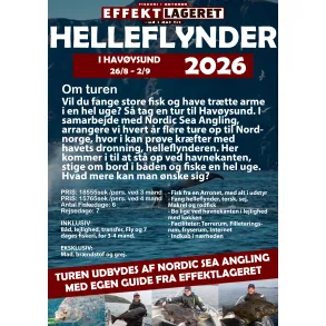 Helleflynder i Havysund 2026