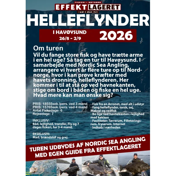 Helleflynder i Havysund 2026