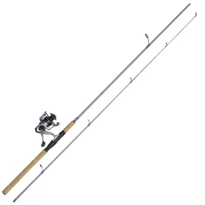 Kinetic Enforcer-Q CL Dame Spinnest