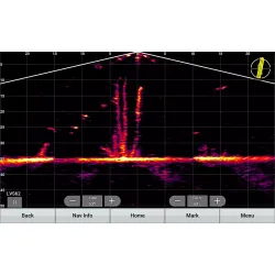 Garmin Panoptix LiveScopeXR - System