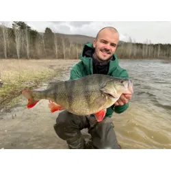 Aborre i Spanien 7-14 marts 2026