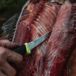 Morakniv Companion Fishing Fillet 155 S 