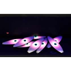 WESTIN D360 6GRAM 40MM SPECIAL FARVER