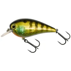 Westin Gift Box Luc Coppens Favorites