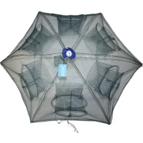 Paraplyruse / Krebsef‘lde