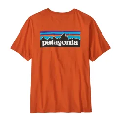 Patagonia M's P-6 Logo T-Shirt