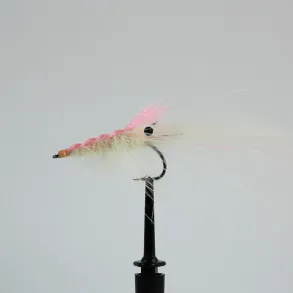 Effekt Flies Pattegrisen Albino