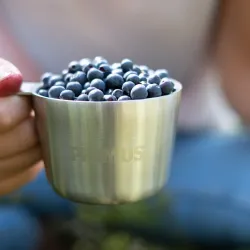 Primus K�sa Mug