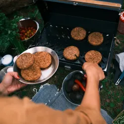 Primus Kuchoma Stove