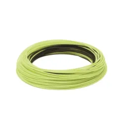 Rio Mainstream Trout WF