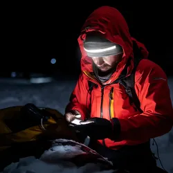 SwissTech Hedwig 400lm Genopladelig Pandelampe