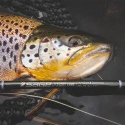 Sage R8 Core Fluestang