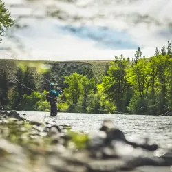 Sage Trout Spey G5 Fluestang