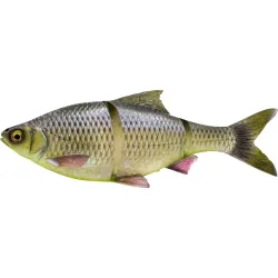 Savage Gear 3D Line Thru Roach Giant