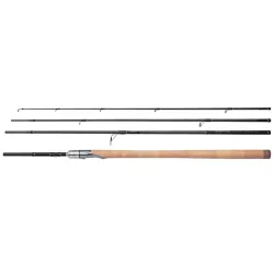 Shimano Aspire Sea Trout 4-Delt