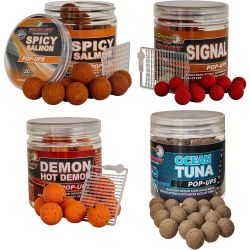 Starbait Performance Concept Pop-ups