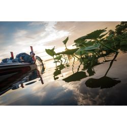 Minn Kota Talon BT 15 Sort