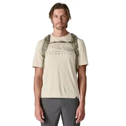Patagonia Refugio Backpack 26L