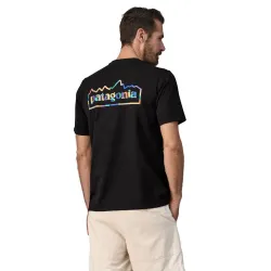 Patagonia M's Unity Fitz Responsibili-Tee - Flere Farver