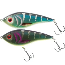 Westin Swim Thermochromic