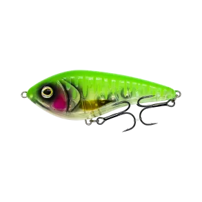 Westin Swim Predator Cup 2026 Custom