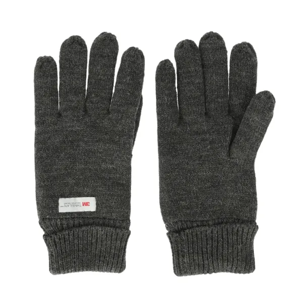 Whistler Roumat Men's Thinsulate Strikhandske