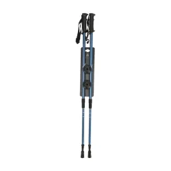 Whistler Sentiero Trekking Poles Vandrestave