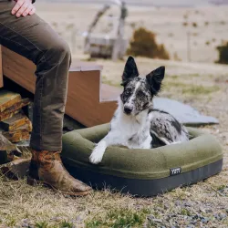 YETI Boomer Dog Bed Small Hundeseng