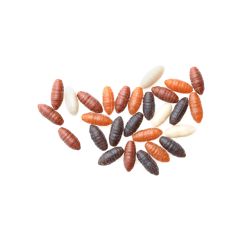 Drennan Buoyant Casters