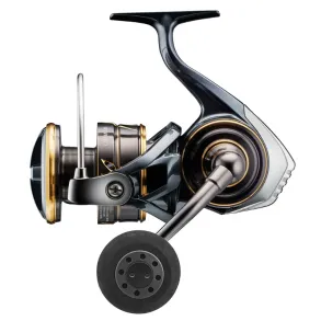 Daiwa 22 Caldia SW