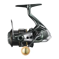 Shimano Cardiff XR