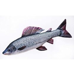 Gaby Stalling - tjdyr